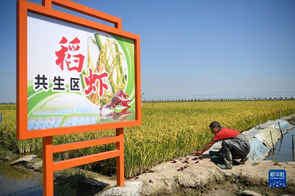 金皇冠注册平台